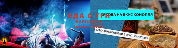 индика Приозерск