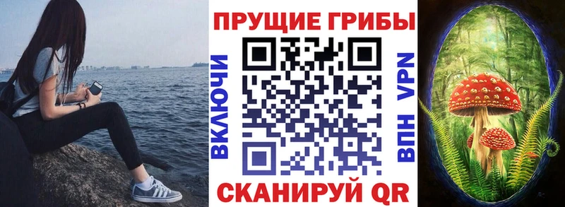 Псилоцибиновые грибы MAGIC MUSHROOMS  цены   Ейск 